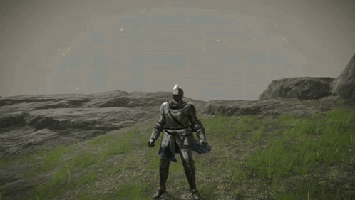 elden-ring-gesture.gif