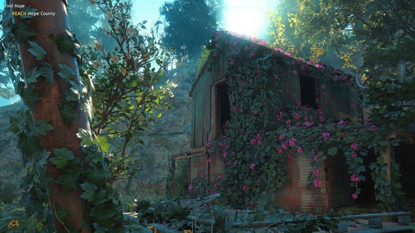 Far Cry® New Dawn_20190216220933.jpg